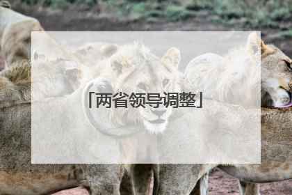 两省领导调整